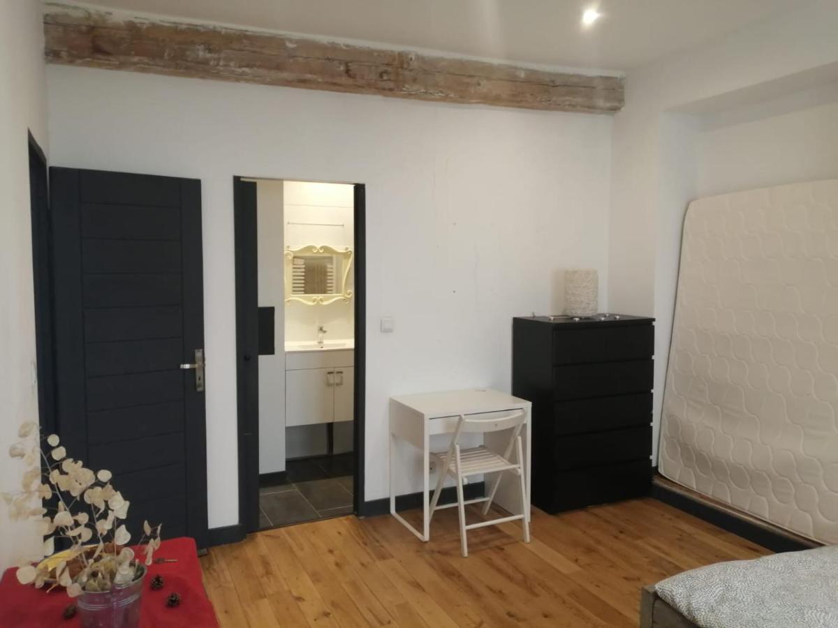 Loft Viarhona, Grand Loft En Centre-Ville Lyon Bagian luar foto